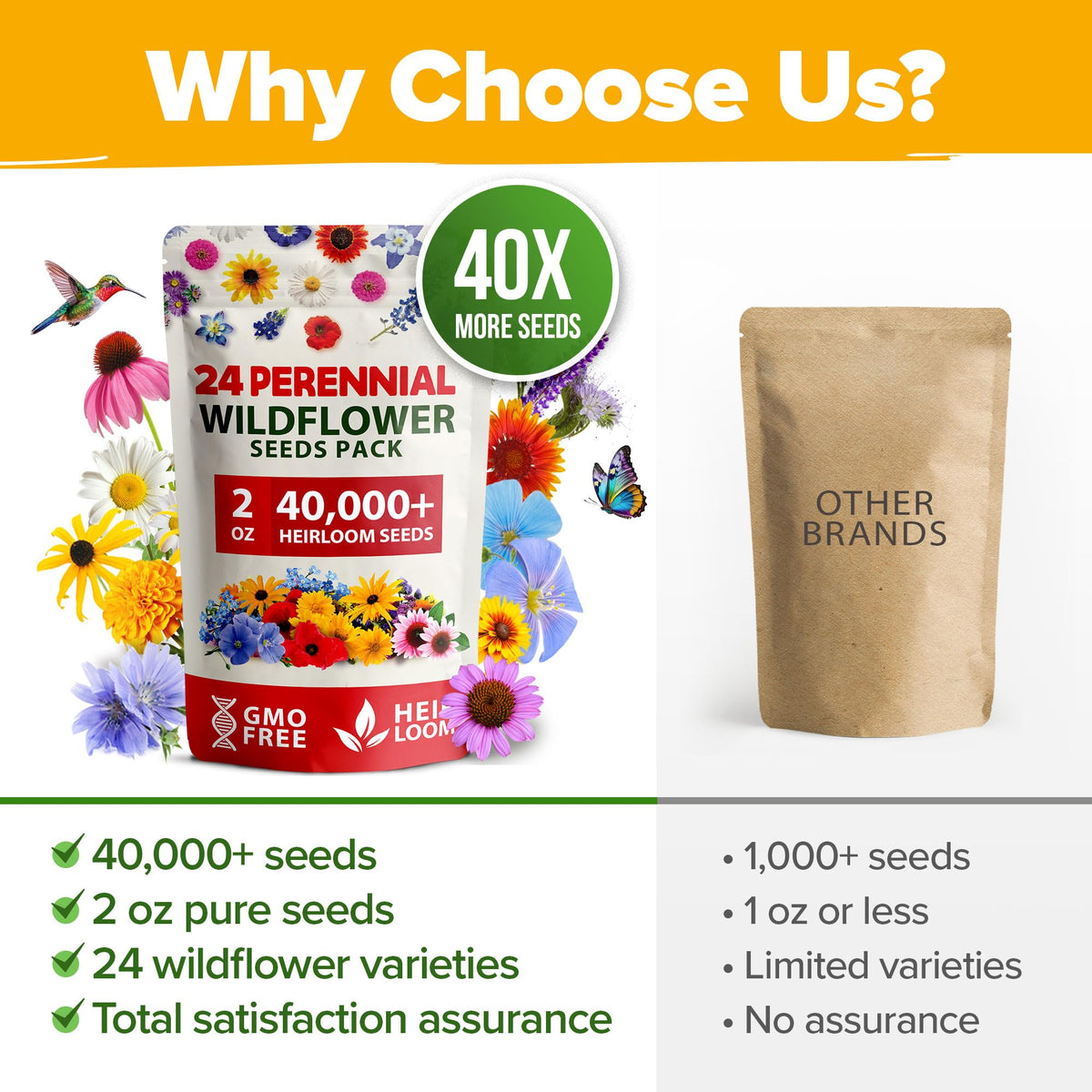Home Grown meadow planting-guide seeds help beginners start confidently.