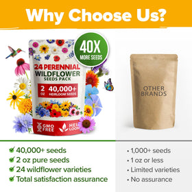 Home Grown meadow planting-guide seeds help beginners start confidently.