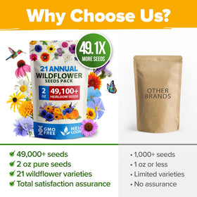 HOME GROWN Wildflower Seeds Mix offers high germination and pure seeds