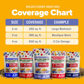 HOME GROWN Wildflower Seeds pollinator-habitat image highlights habitat-friendly nectar flowers