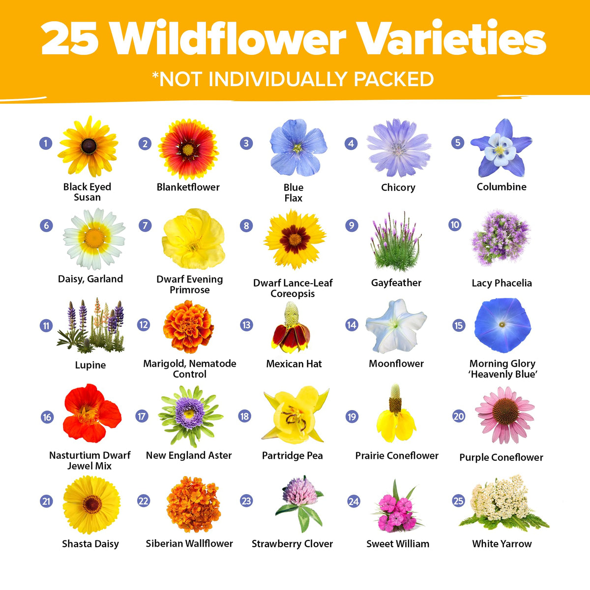 HOME GROWN Wildflower Seeds meadow-mix 19-varieties image emphasizes vibrant, long-lasting garden color