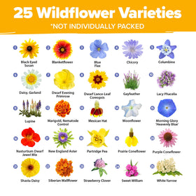 HOME GROWN Wildflower Seeds meadow-mix 19-varieties image emphasizes vibrant, long-lasting garden color