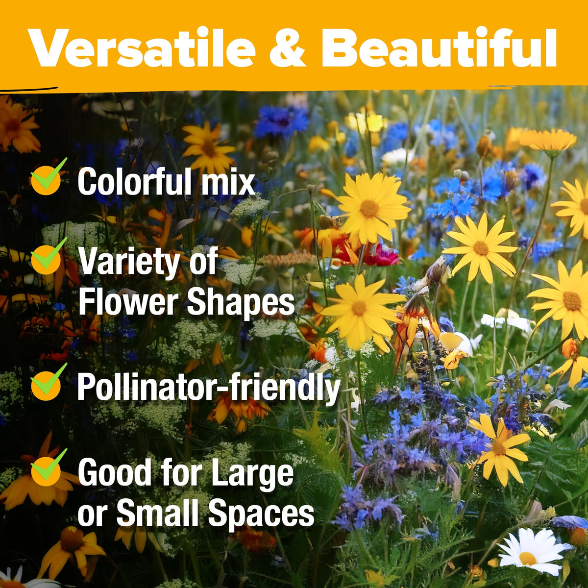 Home Grown 24-variety mix includes popular favorites for borders.