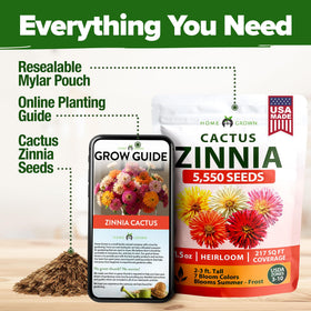 Perfect gift for gardeners seeking reliable, low-maintenance flowering varieties.