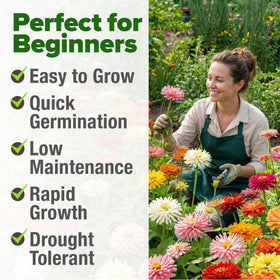Pollinator-friendly zinnias attract butterflies and bees to your garden.