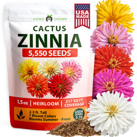 HOME GROWN Zinnia Cactus Mix seeds packaging ready for beginner outdoor planting.