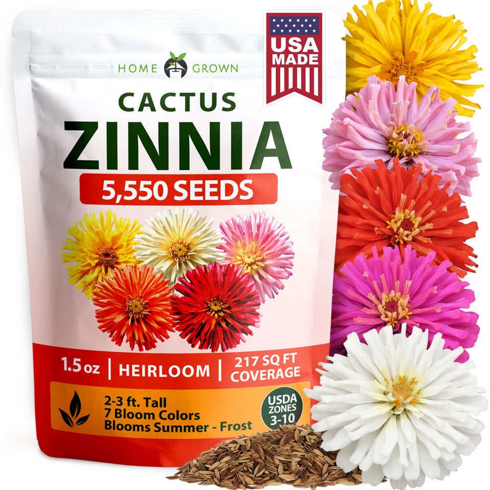 HOME GROWN Zinnia Cactus Mix seeds packaging ready for beginner outdoor planting.