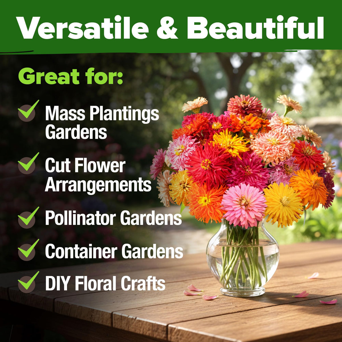 Versatile for containers, borders, or gifts with easy planting.