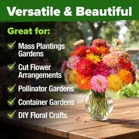 Versatile for containers, borders, or gifts with easy planting.