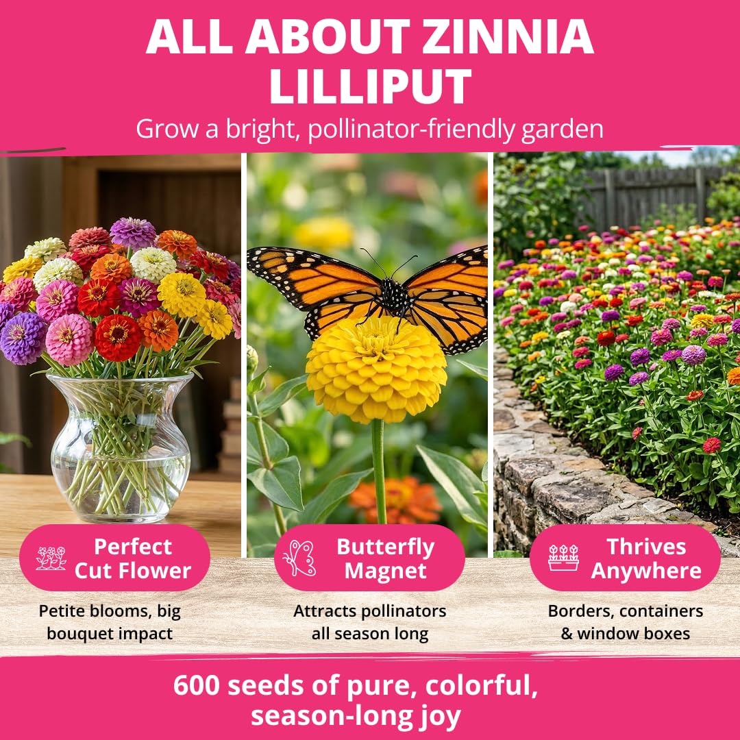 HOME GROWN Zinnia Lilliput Mix yields cut flowers with long-lasting arrangements.
