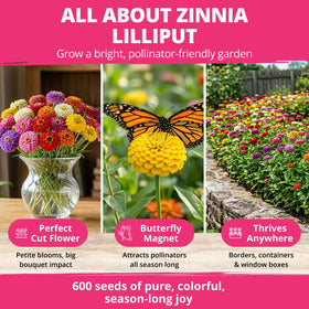 HOME GROWN Zinnia Lilliput Mix yields cut flowers with long-lasting arrangements.