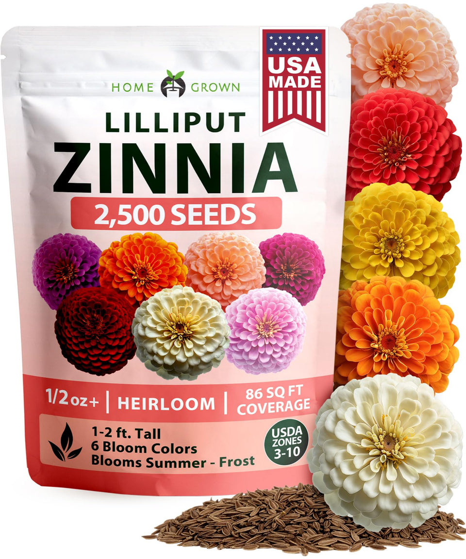 HOME GROWN Zinnia Lilliput Mix seeds for garden beds delivering vibrant summer color.