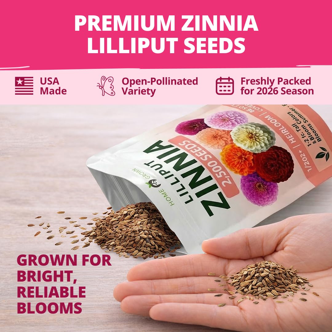 HOME GROWN Zinnia Lilliput Mix thrives in heat and bright sun.