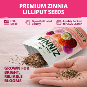 HOME GROWN Zinnia Lilliput Mix thrives in heat and bright sun.