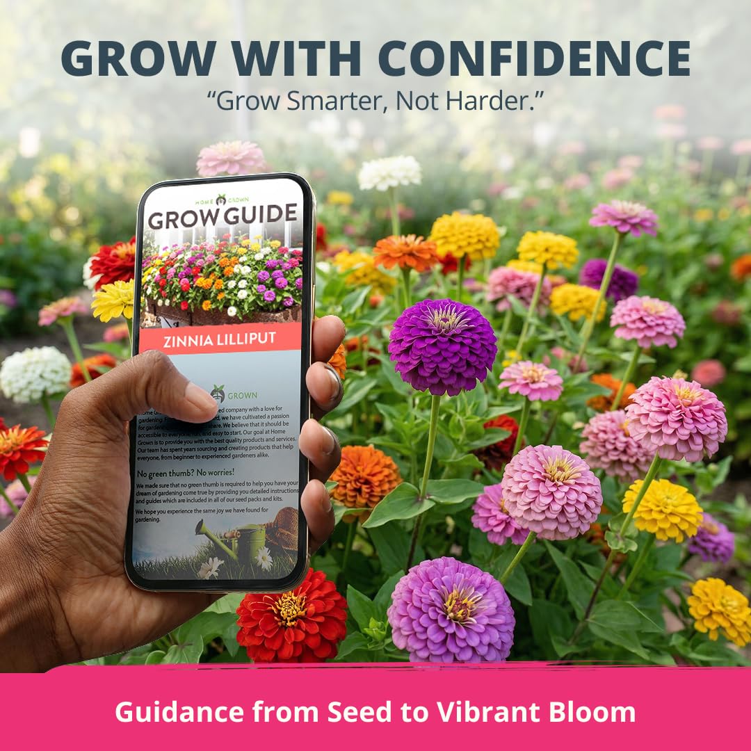 HOME GROWN Zinnia Lilliput Mix offers color for beds, containers, and cut arrangements.