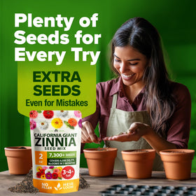 HOME GROWN zinnia seeds versatile for garden beds, borders, and containers