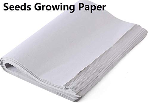 Biodegradable Home Microgreen germinating paper starts seedlings in an eco-friendly way