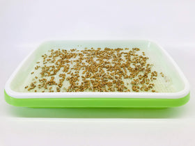 Germinating paper from Home Microgreen provides drainage and air flow for healthy sprouts