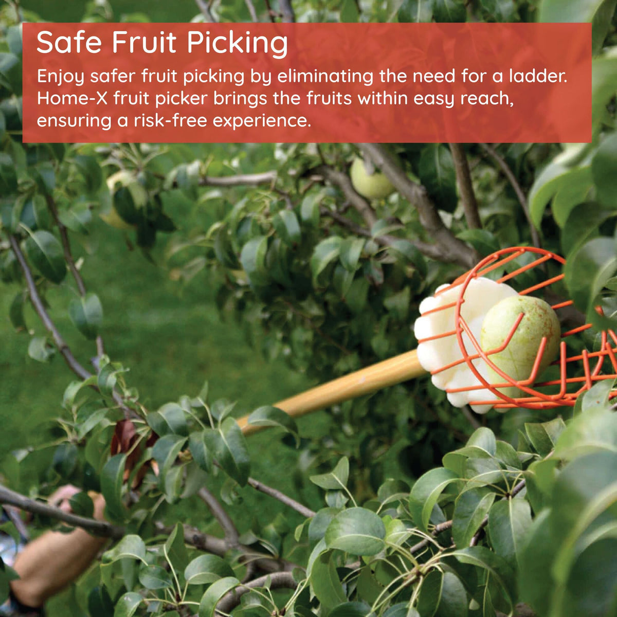 Home-X in use harvesting apples with the finger-prongs.