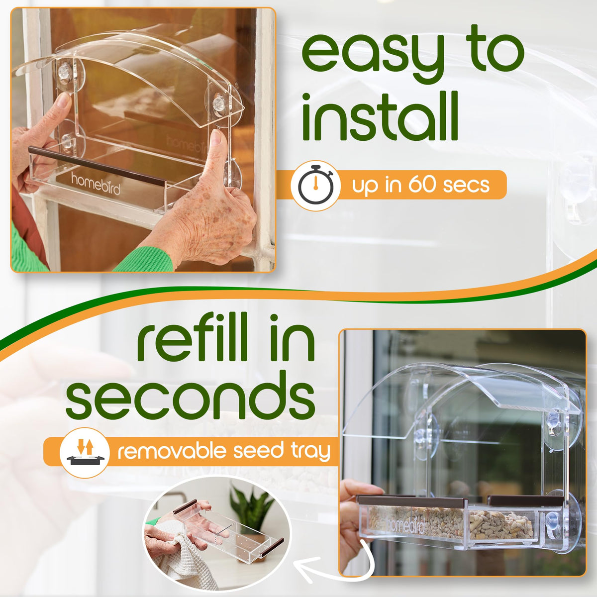 Homebird window feeder attracting daily visits from diverse birds at your window.