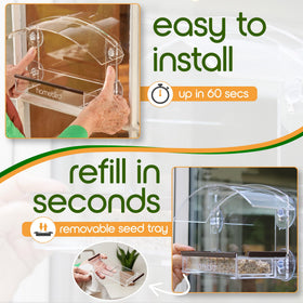 Homebird window feeder attracting daily visits from diverse birds at your window.