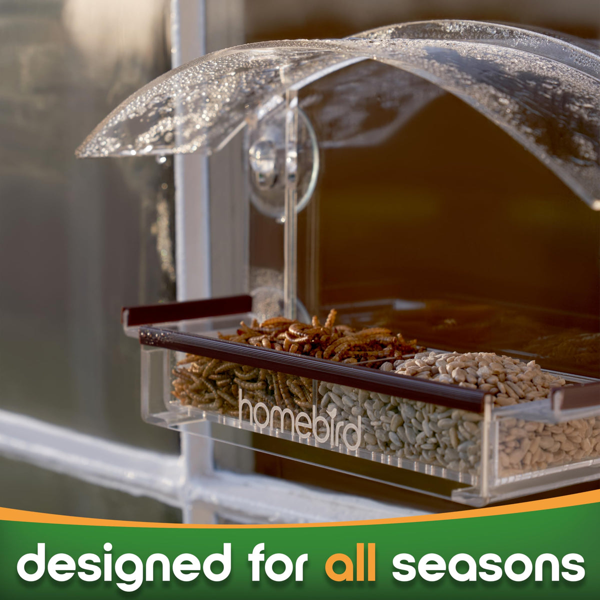 Homebird gift-ready window feeder suitable for bird lovers and cat households.