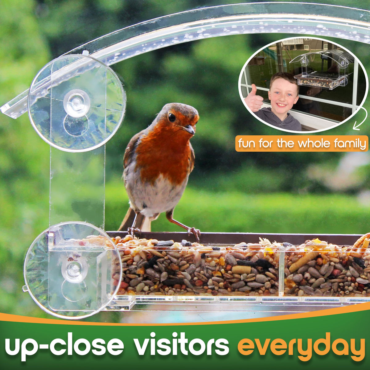 Homebird removable tray for fast refills and easy cleaning.