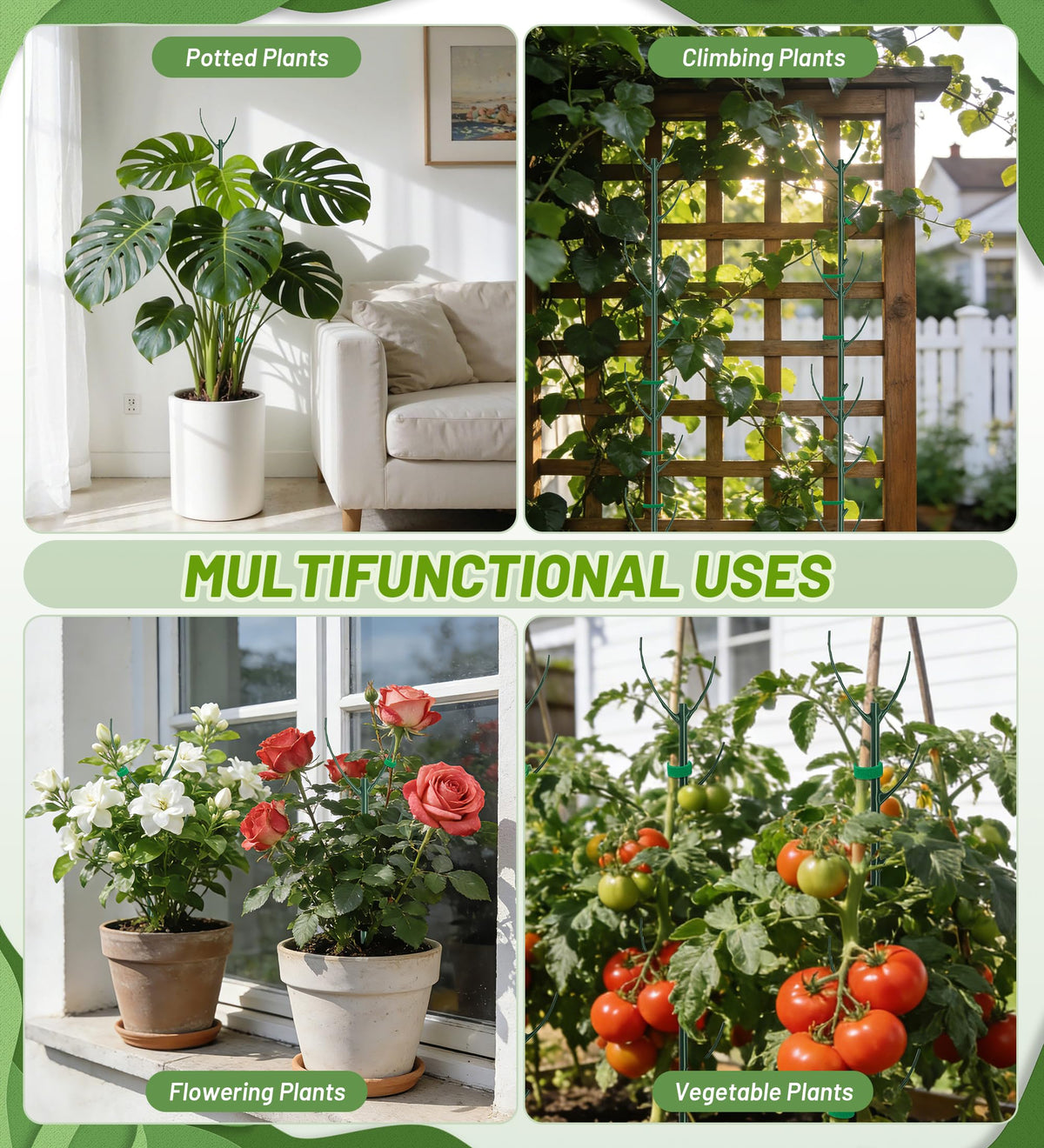 HOMEBROS plant support system usable indoors and outdoors