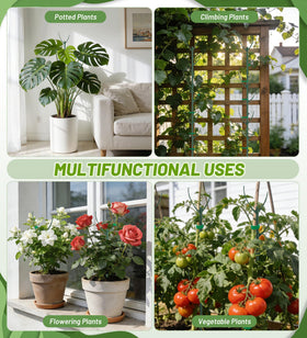HOMEBROS plant support system usable indoors and outdoors