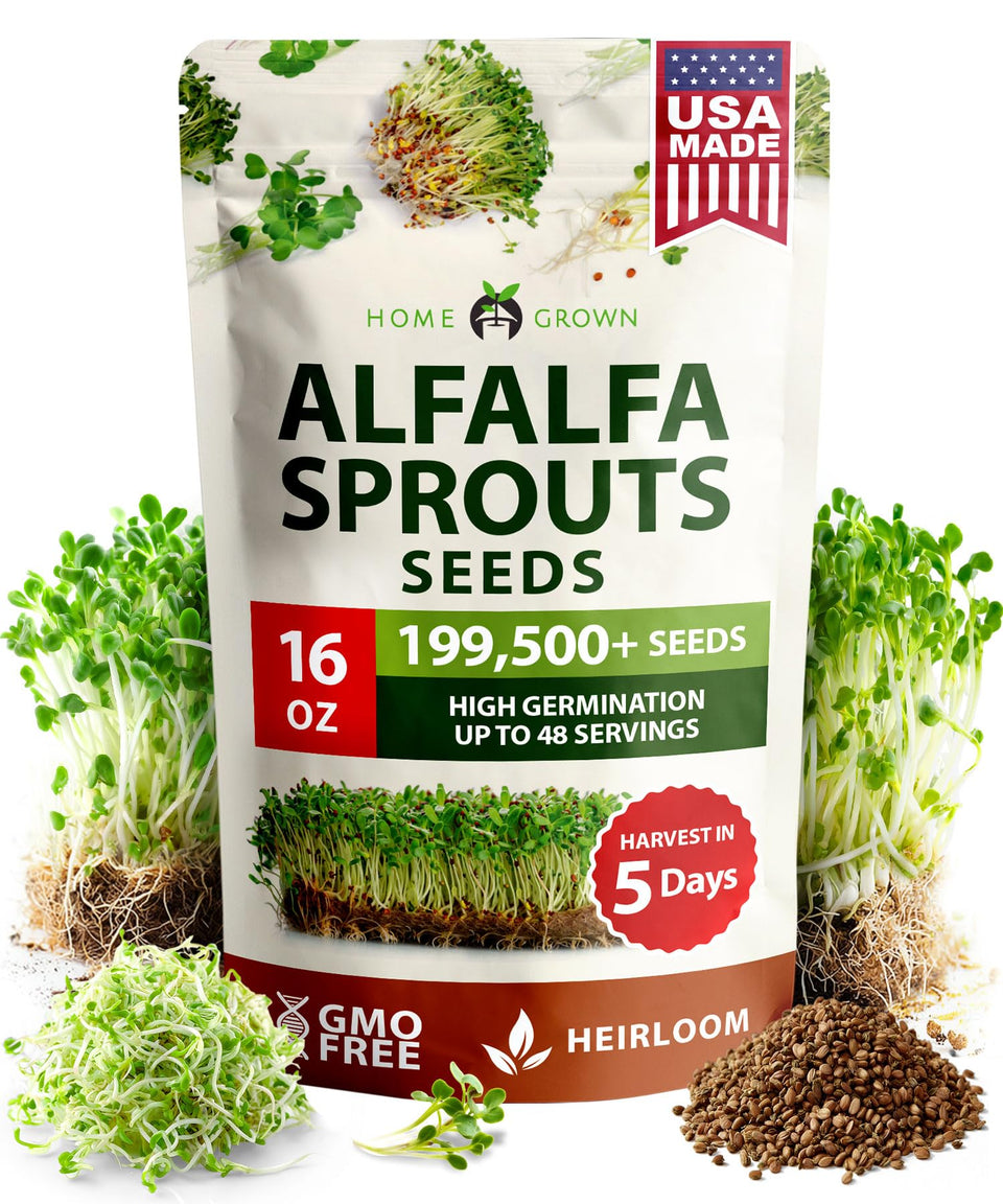 HOME GROWN alfalfa sprout seeds bulk 16oz for easy home sprouting and fresh greens