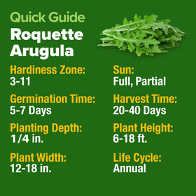 HOME GROWN Arugula seeds cut-and-come-again for continuous fresh greens.