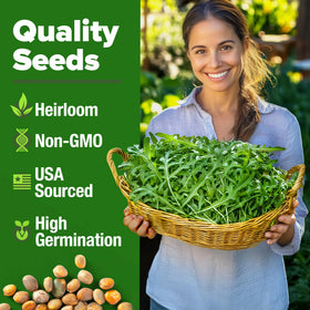 HOME GROWN Arugula seeds easy-for-beginners for high germination and simple care.