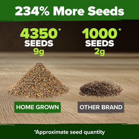 HOME GROWN Arugula seeds fast-harvest-20-30-days deliver tender greens quickly.