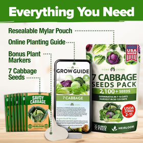 HOME GROWN Copenhagen Market cabbage image showcases classic garden variety