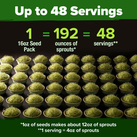 HOME GROWN fast germination sprouts in about five days with simple care