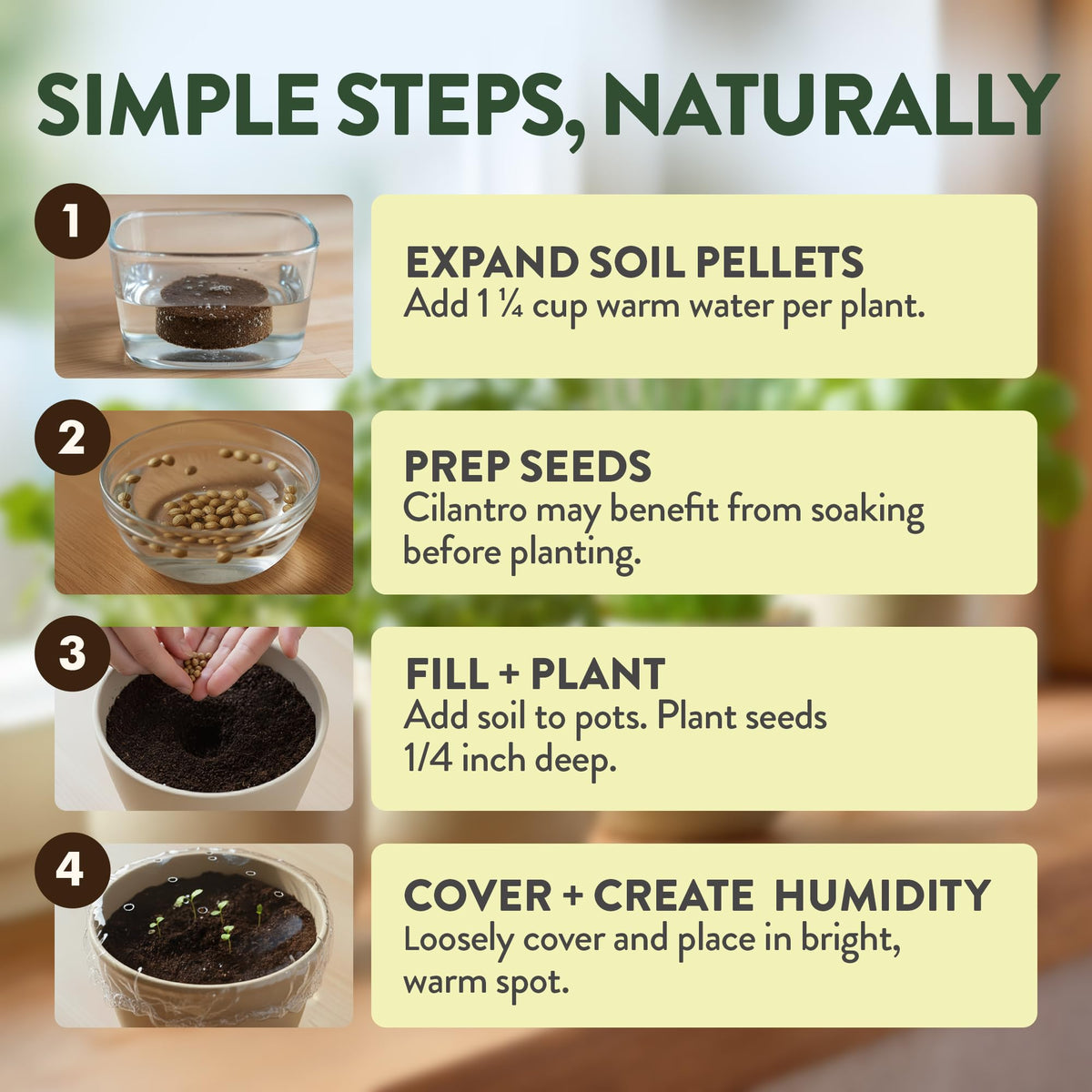 HOME GROWN thyme seeds offer fragrant herbal notes for roasts and soups.