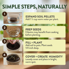 HOME GROWN thyme seeds offer fragrant herbal notes for roasts and soups.