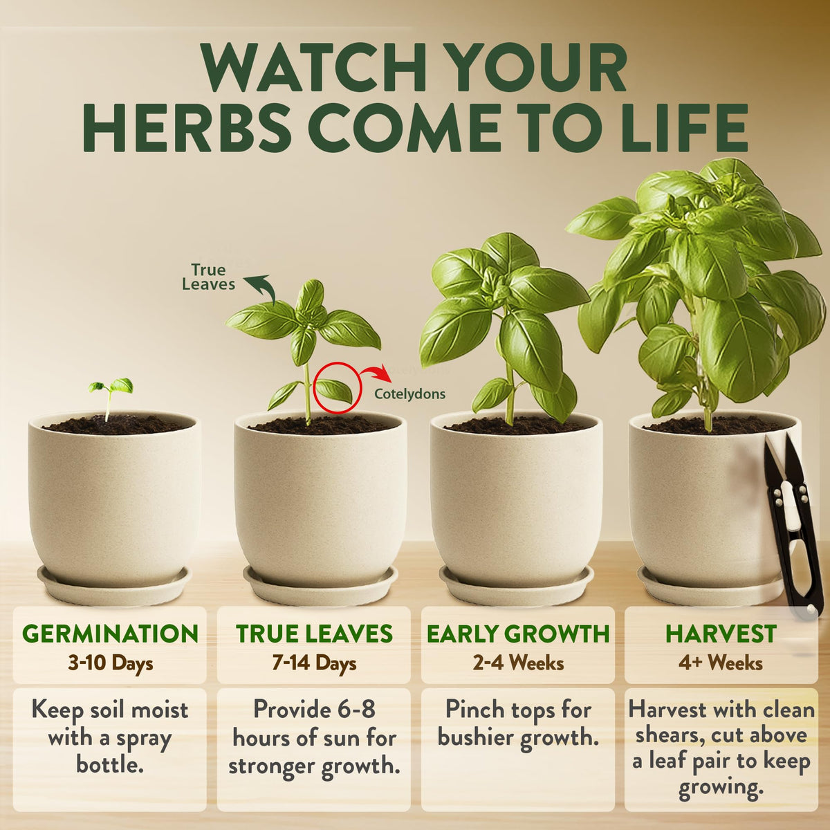 HOME GROWN window garden setup enables year-round harvest from a compact countertop space.