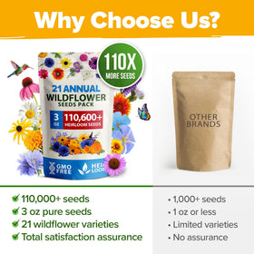 HOME GROWN meadow creating wildflower mix for large or small spaces