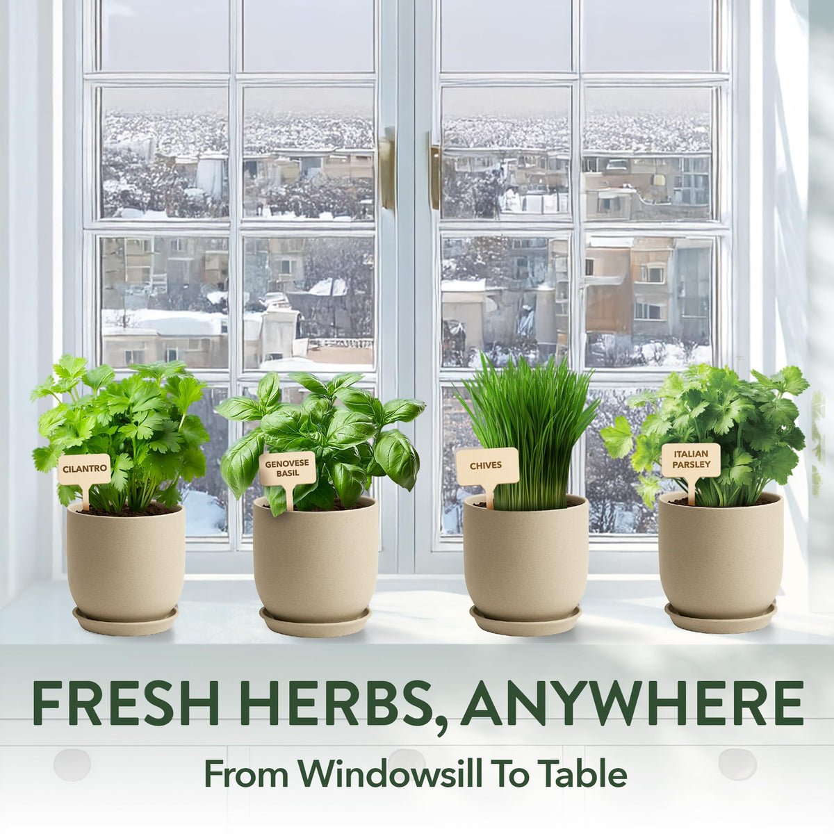 HOME GROWN gift pack highlights eco-friendly packaging for thoughtful plant-loving presents.