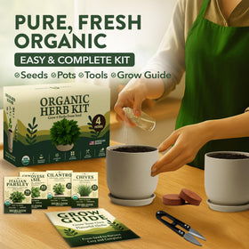 HOME GROWN organic soil disks and durable pots support reliable indoor germination.