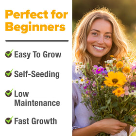 HOME GROWN pollinator-friendly wildflowers for cottage gardens and natural landscapes