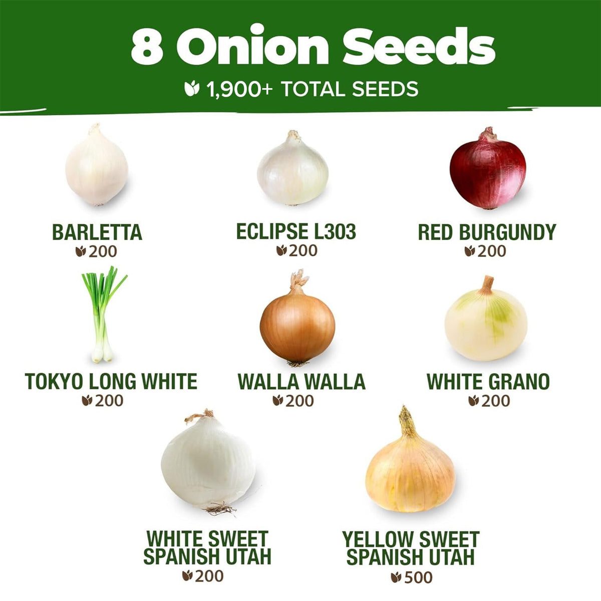 HOME GROWN Red Burgundy onions with large bulbs and spicy-sweet flavor.