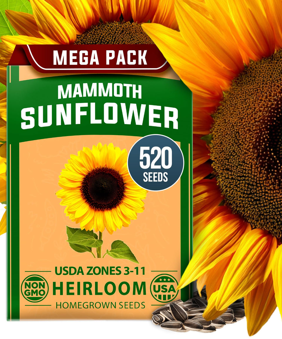 HOME GROWN Giant Mammoth seeds pack ready for backyard planting and tall blooms.