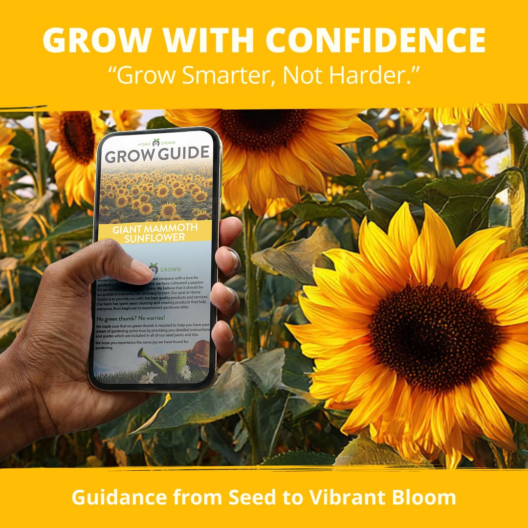 HOME GROWN Busy pollinator-friendly sunflowers attracting bees and butterflies.