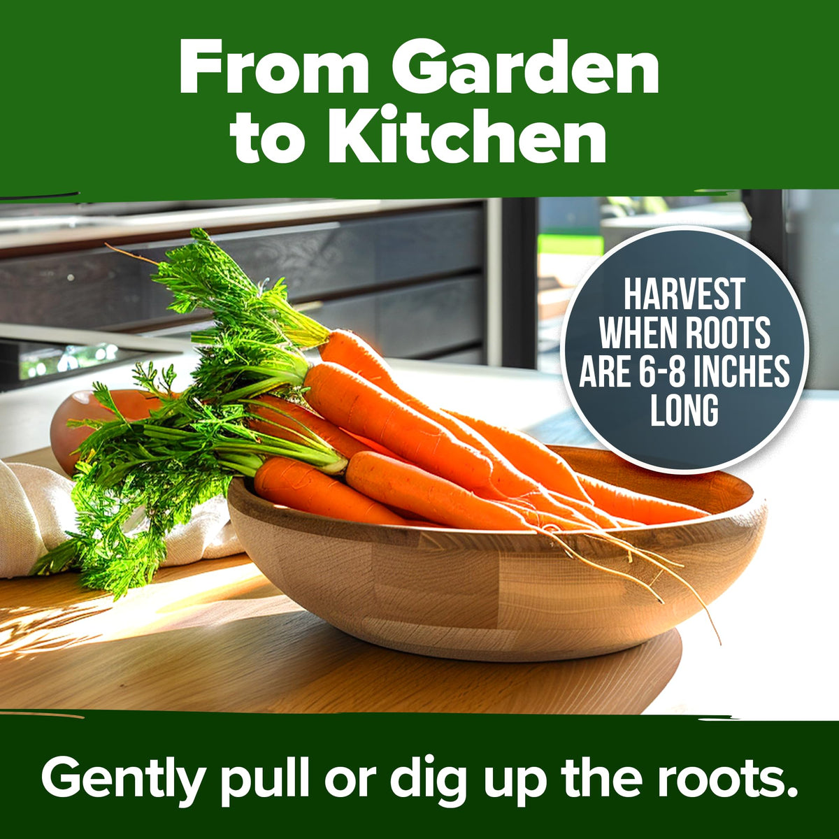 Garden bed planting setup with HOME GROWN Tendersweet seeds for robust growth.