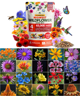 HOME GROWN wildflower seeds bag showing 24 varieties for pollinators