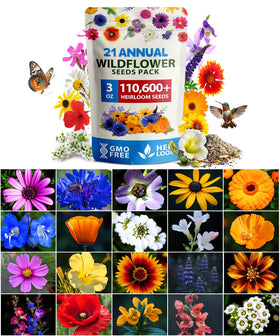 HOME GROWN wildflower seeds mix 110600 seeds ideal for expansive meadows