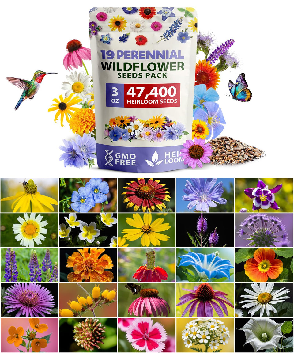 HOME GROWN wildflower mix closeup with diverse petals for a vibrant pollinator-friendly bed.