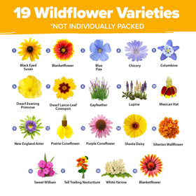 HOME GROWN meadow plan with 19 varieties promoting continuous color through seasons.